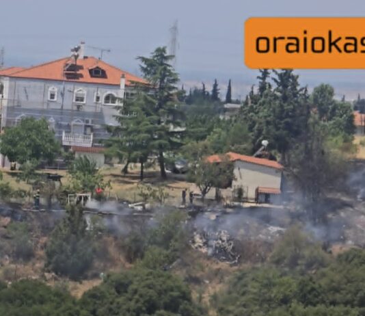 ΤΩΡΑ Συναγερμός στο Ωραιόκαστρο: Φωτιά σε ξερά χόρτα δίπλα σε σπίτια – Μεγάλη κινητοποίηση για να μην επεκταθεί σε ρέμα, ΒΙΝΤΕΟ
