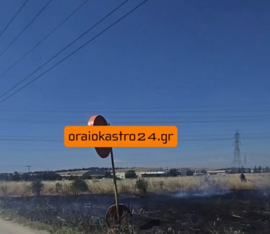 Φωτιά τώρα στο Ωραιόκαστρο, βίντεο