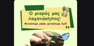 Δήμος Ωραιοκάστρου: Παιδιά και γονείς δημιουργούν τον δικό τους λαχανόκηπο στον ΣΤ΄ Παιδικό Σταθμό Μελισσοχωρίου