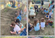 Περιβαλλοντικές δράσεις στο Ωραιόκαστρο: Μικροί κηπουροί δημιούργησαν λαχανόκηπους σε παιδικούς σταθμούς του Δήμου