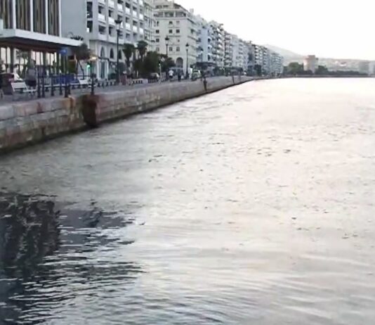 Υψηλή θερμοκρασία και άπνοια συντηρούν το φυτοπλαγκτόν στον Θερμαϊκό, βίντεο