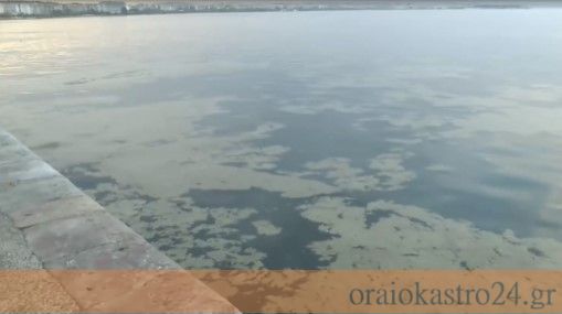 SOS για τον Θερμαϊκό: Η καφέ βλέννα και ο ευτροφισμός «έπνιξαν» ξανά την παραλία της Θεσσαλονίκης