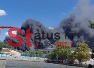 Δραματική εξέλιξη στο Καλοχώρι: Η φωτιά μπήκε μέσα σε βιοτεχνία – Στη μάχη ελικόπτερο, drones και ισχυρές δυνάμεις, βίντεο
