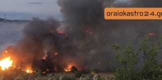 Ολονύχτια μάχη με τις φλόγες στο Ωραιόκαστρο: Καλύτερη η εικόνα αυτή την ώρα – Στο νοσοκομείο 4 πυροσβέστες