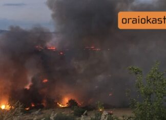 Φωτιά Ωραιόκαστρο: SOS από τους επιστήμονες: Καρκινογόνες ουσίες που μένουν για χρόνια στον οργανισμό από το τοξικό νέφος, βίντεο