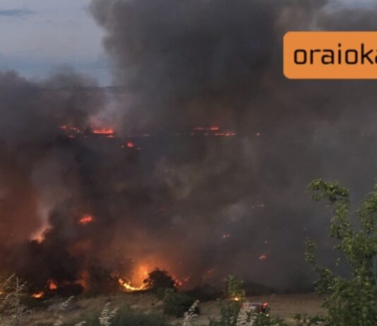 Ολονύχτια μάχη με τις φλόγες στο Ωραιόκαστρο: Καλύτερη η εικόνα αυτή την ώρα – Στο νοσοκομείο 4 πυροσβέστες