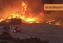 Εφιάλτης στο Ωραιόκαστρο: Εκκενώνεται εσπευσμένα το Ίδρυμα «Άγιος Παντελεήμονας» – Στο Κονταξοπούλειο οι τρόφιμοι, αναφορές για εγκλωβισμένους και καμένα σπίτια!