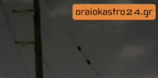 Φωτιά στο Ωραιόκαστρο: Οι φλόγες μπαίνουν στην Ανθούπολη – Στη μάχη Στρατός και εθελοντές