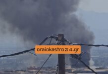 Φωτιά ΤΩΡΑ στο Ωραιόκαστρο, βίντεο