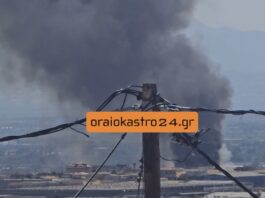 Φωτιά ΤΩΡΑ στο Ωραιόκαστρο, βίντεο