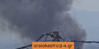 Φωτιά ΤΩΡΑ στα Υψώματα Διαβατών, βίντεο