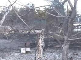 Ταυτοποιήθηκε η σορός του 12χρονου στη Λητή: Το χρονικό της ανείπωτης τραγωδίας που ξεκλήρισε την οικογένεια του 66χρονου δασκάλου