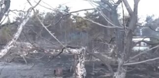 Ταυτοποιήθηκε η σορός του 12χρονου στη Λητή: Το χρονικό της ανείπωτης τραγωδίας που ξεκλήρισε την οικογένεια του 66χρονου δασκάλου