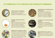 12 Συμβουλές από τον ΕΦΕΤ για τη μείωση της σπατάλης τροφίμων