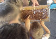 Ωραιόκαστρο: Δημιουργία, παιχνίδι και συναισθηματική αγωγή στο «Θερινό Σχολείο 2026»