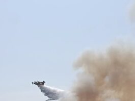 Βίντεο απο την φωτιά στο Δερβένι ΤΩΡΑ