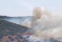 Ενισχύθηκαν οι δυνάμεις στη φωτιά στο Δερβένι – Επιχειρούν 120 πυροσβέστες, 10 εναέρια μέσα και Μολδαβοί πυροσβέστες