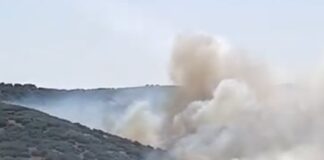 Ενισχύθηκαν οι δυνάμεις στη φωτιά στο Δερβένι – Επιχειρούν 120 πυροσβέστες, 10 εναέρια μέσα και Μολδαβοί πυροσβέστες