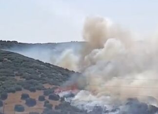 Έκτακτο – Θεσσαλονίκη: Φωτιά στην Πυλαία – Ήχησε το 112 για ετοιμότητα των κατοίκων