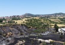 Φωτιά στο Ωραιόκαστρο: Σύσκεψη για την αποτίμηση της καταστροφής – Βίντεο πάνω από την καμένη έκταση