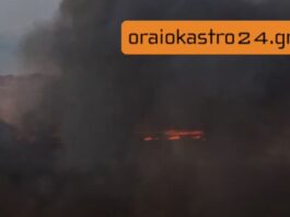 Τοξικός καπνός στο Ωραιόκαστρο: Οι κίνδυνοι από την καύση πλαστικών και οι οδηγίες προστασίας