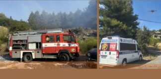 ΕΘ.ΕΛ.Ο.Δ. Δρυμού: Η κοινωνία πρώτη γραμμή άμυνας απέναντι στη φωτιά – Ο καταλυτικός ρόλος των αγροτών