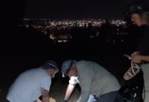 Θεσσαλονίκη: Συνελήφθη ο εξοικειωμένος λύκος στην Πολίχνη