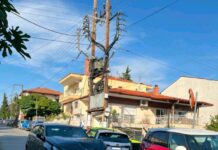 ΤΩΡΑ Τροχαίο ατύχημα στο Ωραιόκαστρο – Μποτιλιάρισμα και καθυστερήσεις λεωφορείων