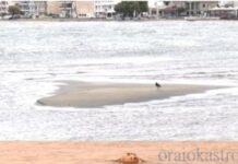 Σε κίνδυνο οι ακτές του Δήμου Θερμαϊκού: Έντονη διάβρωση στην Περαία, συσσώρευση άμμου στους Νέους Επιβάτες
