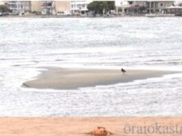 Σε κίνδυνο οι ακτές του Δήμου Θερμαϊκού: Έντονη διάβρωση στην Περαία, συσσώρευση άμμου στους Νέους Επιβάτες