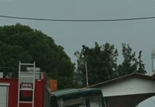 ΤΩΡΑ : Παράσυρση πεζής από φορτηγό στο Ωραιόκαστρου