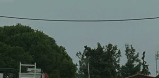 ΤΩΡΑ : Παράσυρση πεζής από φορτηγό στο Ωραιόκαστρου