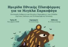 Ημερίδα για τα μεγάλα σαρκοφάγα στη Θεσσαλονίκη: Δημόσιος διάλογος για τη συνύπαρξη ανθρώπου, αρκούδας και λύκου
