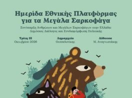Ημερίδα για τα μεγάλα σαρκοφάγα στη Θεσσαλονίκη: Δημόσιος διάλογος για τη συνύπαρξη ανθρώπου, αρκούδας και λύκου