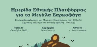 Ημερίδα για τα μεγάλα σαρκοφάγα στη Θεσσαλονίκη: Δημόσιος διάλογος για τη συνύπαρξη ανθρώπου, αρκούδας και λύκου