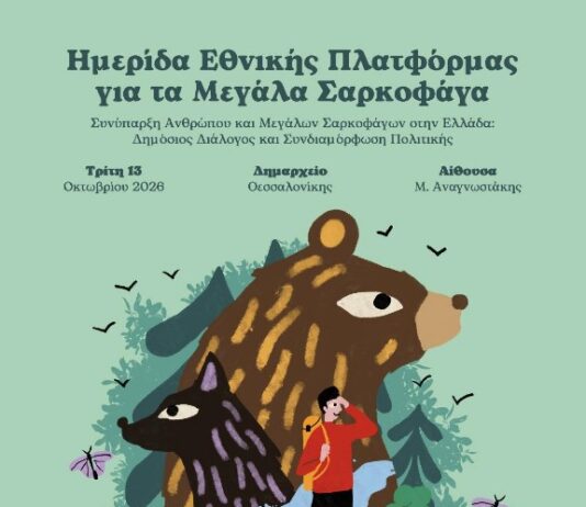 Ημερίδα για τα μεγάλα σαρκοφάγα στη Θεσσαλονίκη: Δημόσιος διάλογος για τη συνύπαρξη ανθρώπου, αρκούδας και λύκου