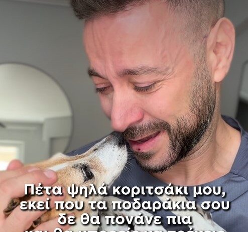 «Έφυγε» η Μιλού: Θλίψη στο διαδίκτυο για το διάσημο Τζακ Ράσελ του TikTok