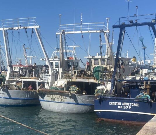 Σκληραίνουν τη στάση τους οι αλιείς: «Μπλόκο» και στα εισαγόμενα ψάρια μετά την έλλειψη των ελληνικών